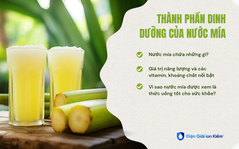 Thành phần dinh dưỡng của nước mía