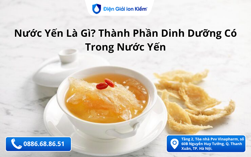 Nước Yến Là Gì? Thành Phần Dinh Dưỡng Có Trong Nước Yến Nước Yến Là Gì? Thành Phần Dinh Dưỡng Có Trong Nước Yến