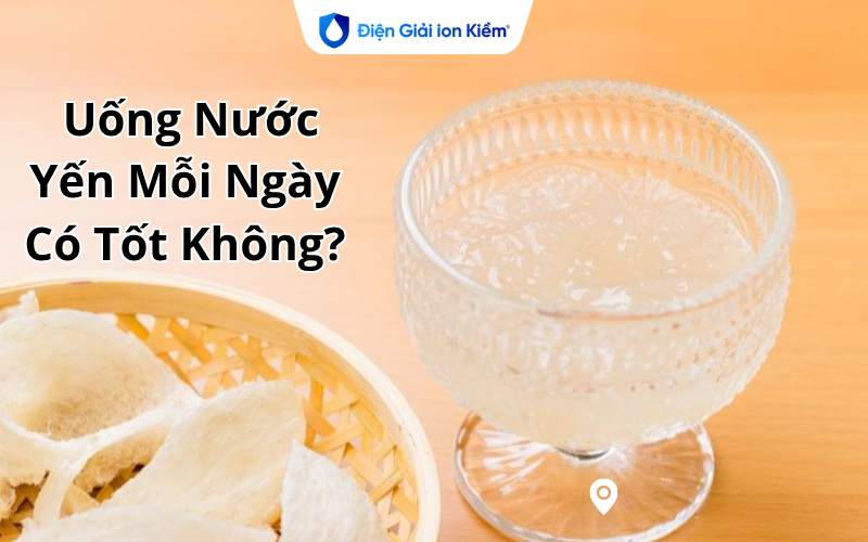Uống Nước Yến Mỗi Ngày Có Tốt Không? Uống Nước Yến Mỗi Ngày Có Tốt Không?